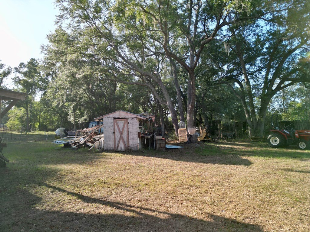 Picture 27