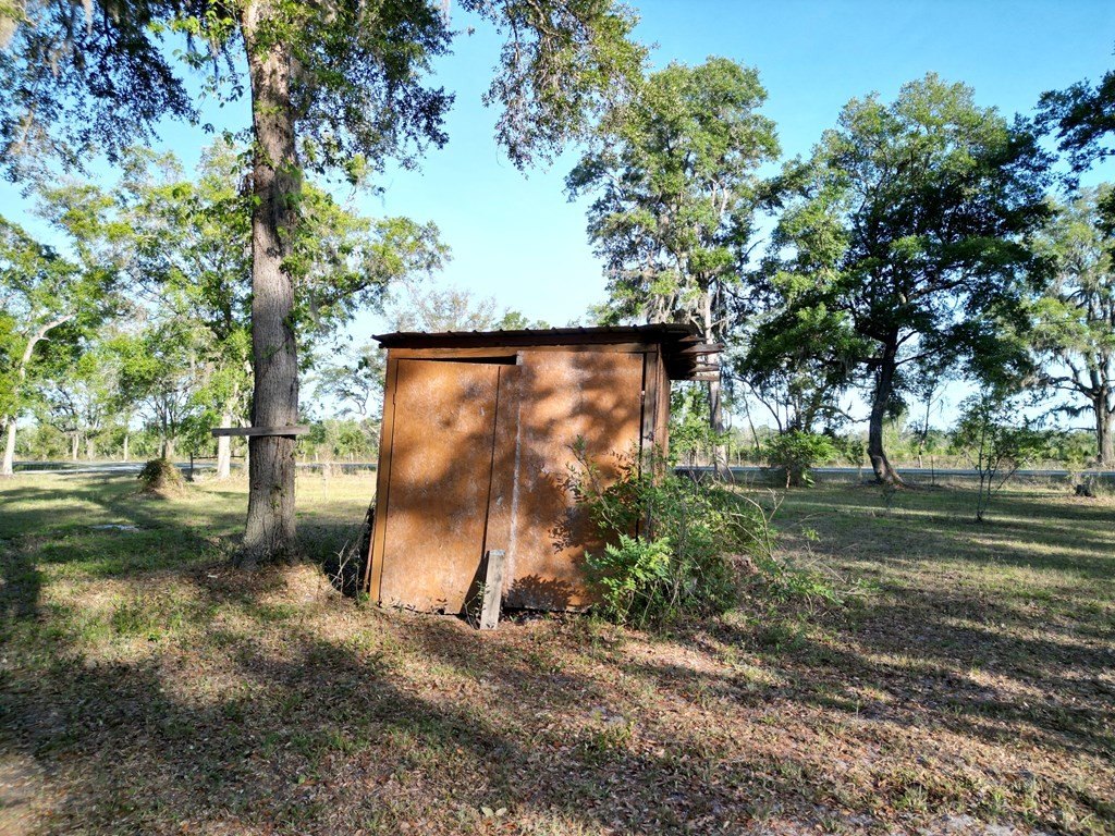 Picture 24