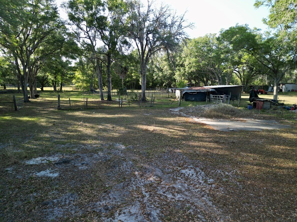 Picture 15