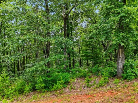 LAND - Ellijay, GA