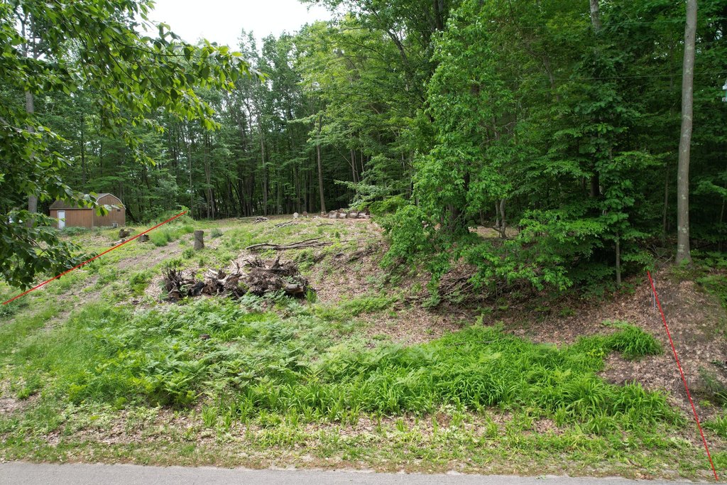 Picture 10
