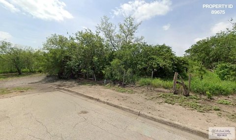 Land, LOS INDIOS, TX