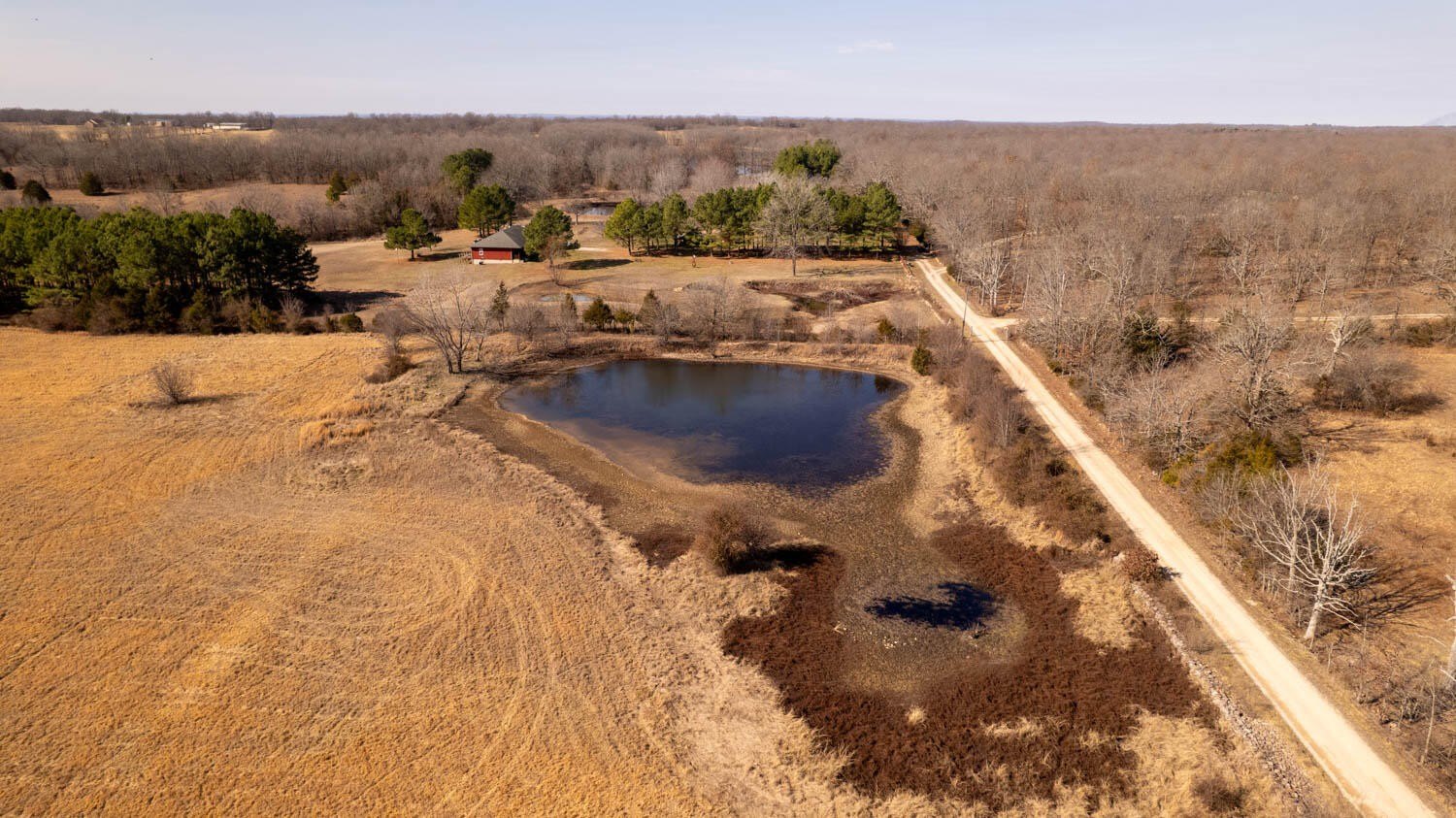 81 Acres of Versatile Land