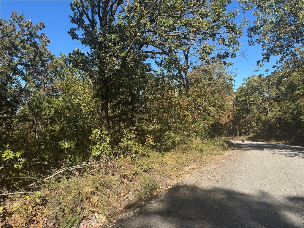 Picture 16
