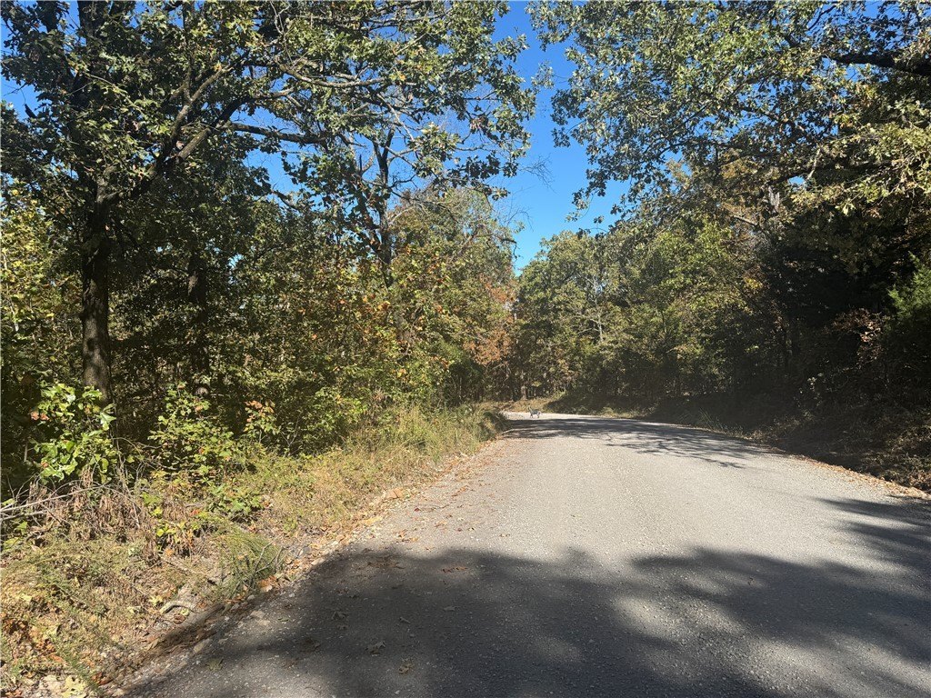 Picture 17