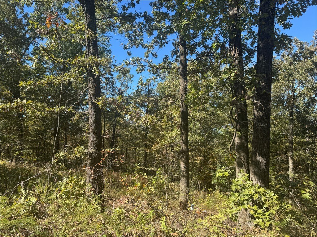 Picture 18