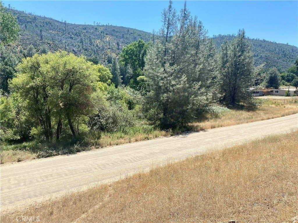 Picture 25