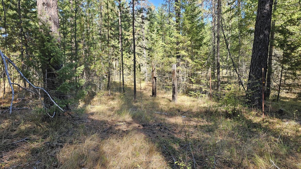 Picture 12