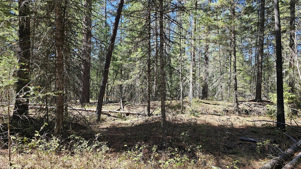 Picture 8