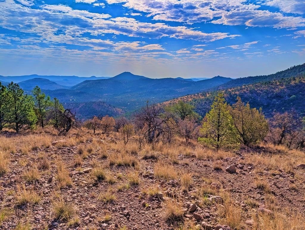 Davis Mountain Resort Land
