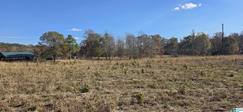 LAND - OHATCHEE, AL