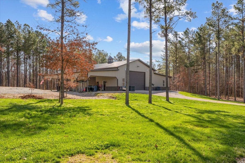 Picture 35