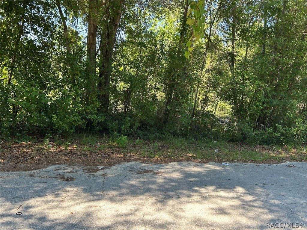 Residential Lot in Crystal River