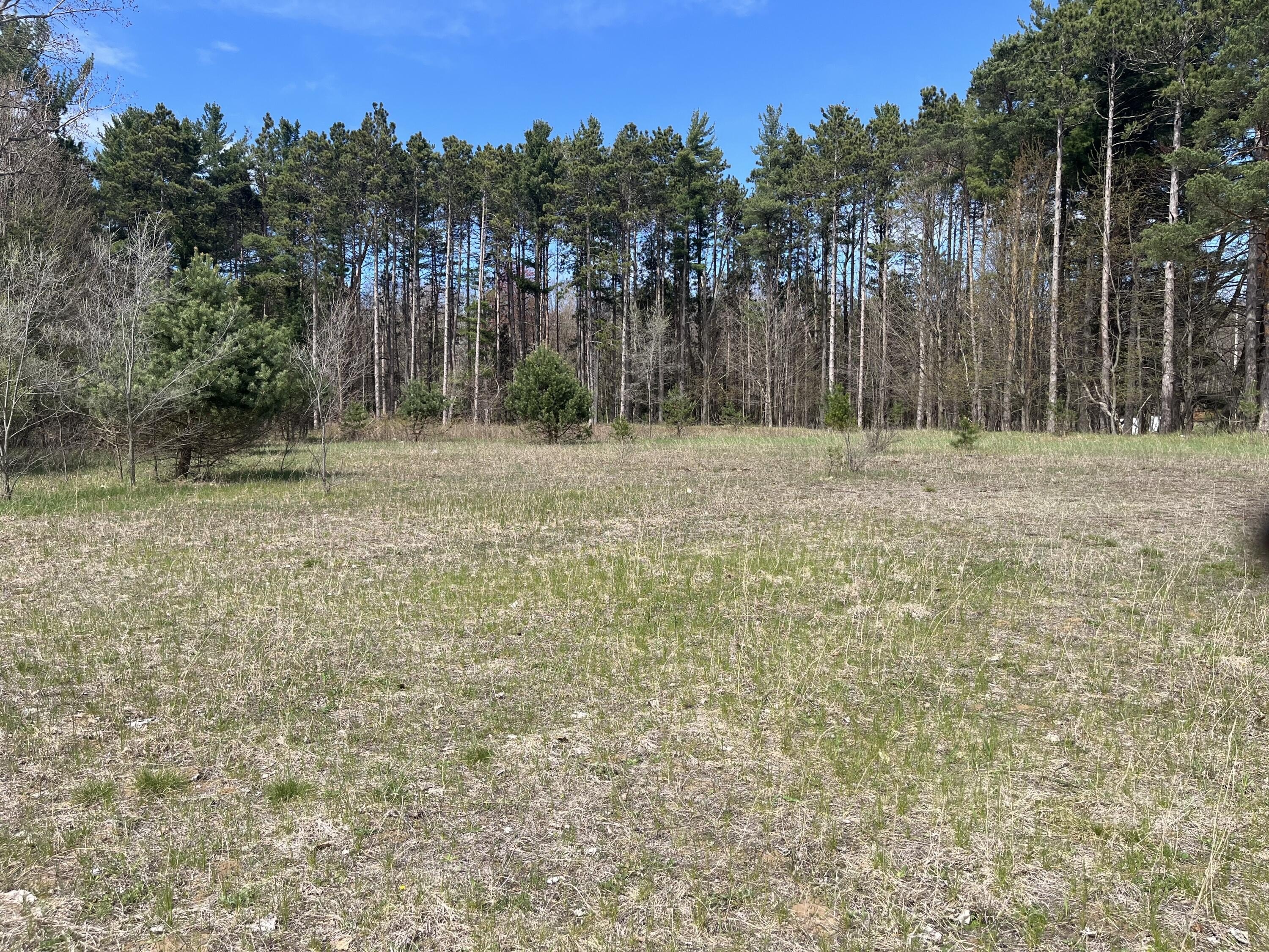 Commercial Land on US 10