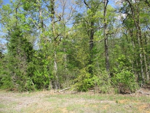 Land on Hwy 17
