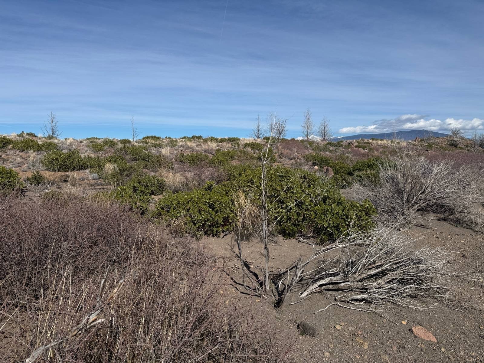 Vacant Land Near Highway 97
