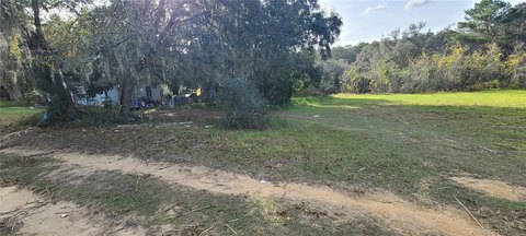 LAND - UMATILLA, FL