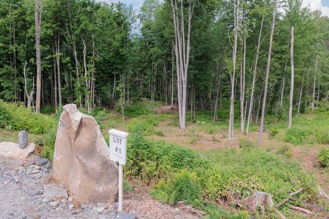 Land, Craftsbury, VT