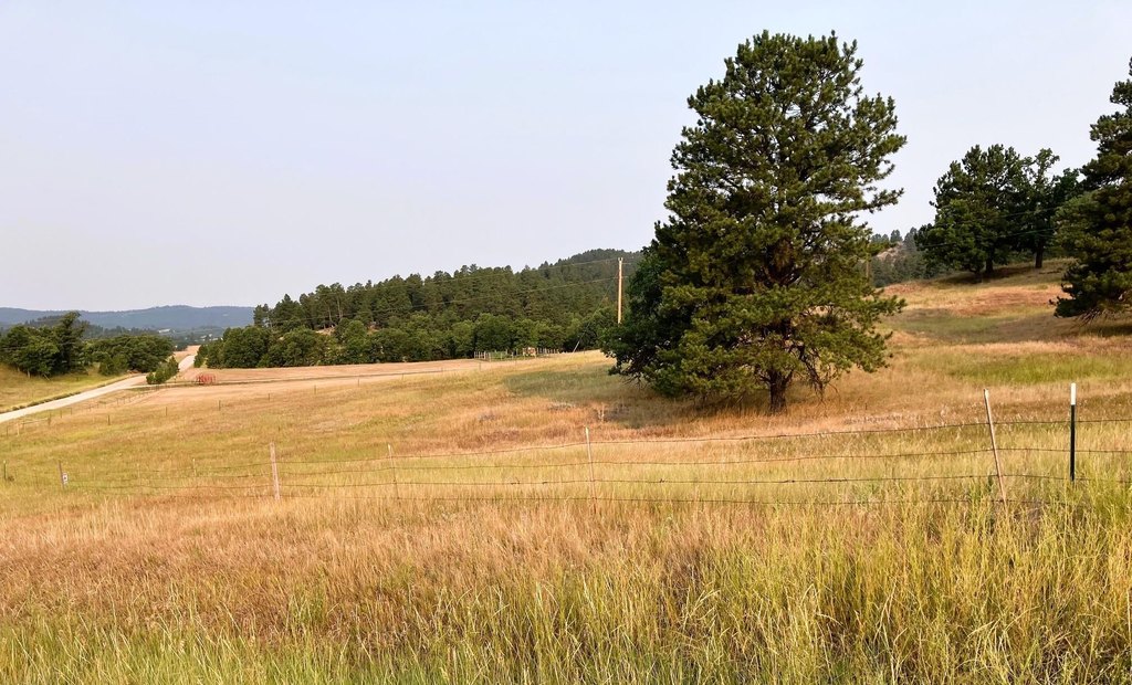 Picture 8