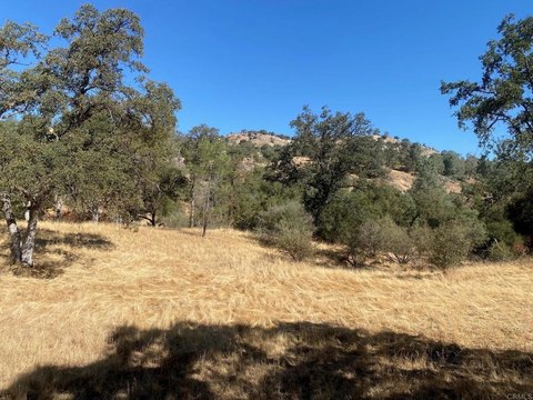 Residential Land in Yosemite Lakes