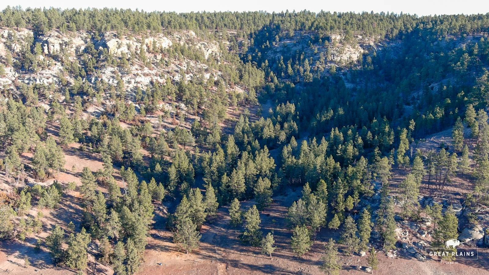 40 Acres of Vacant Land