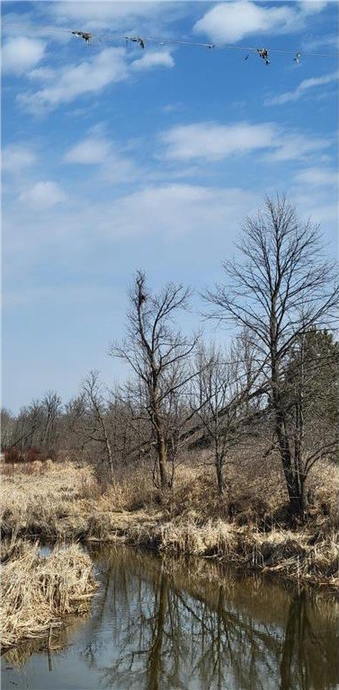 Picture 9