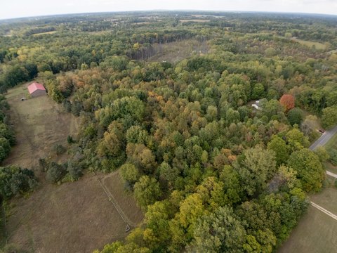 Paw Paw Wooded Land For Sale