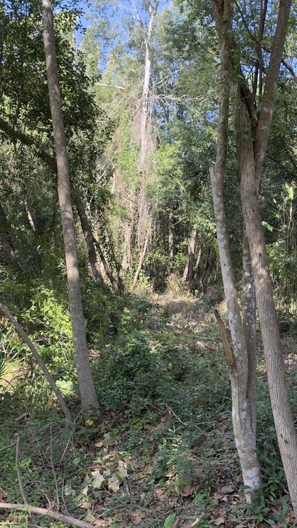 Picture 14