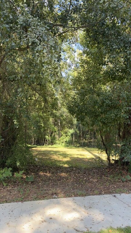 Picture 19