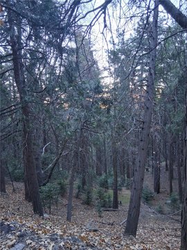 Cedarpines Park Land/Lot