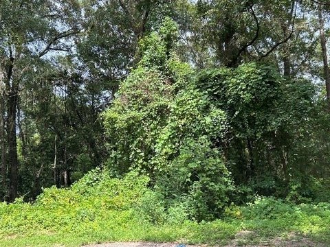 LAND - Irvington, AL