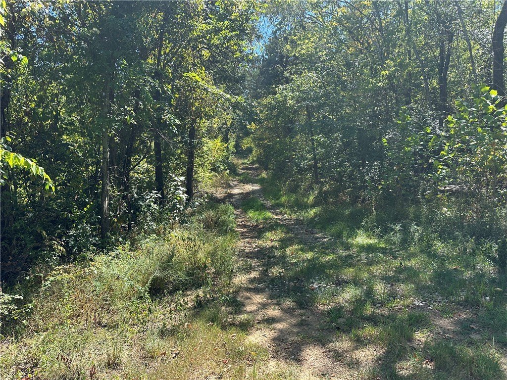 Picture 4