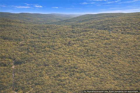 Wooded Mountain Land