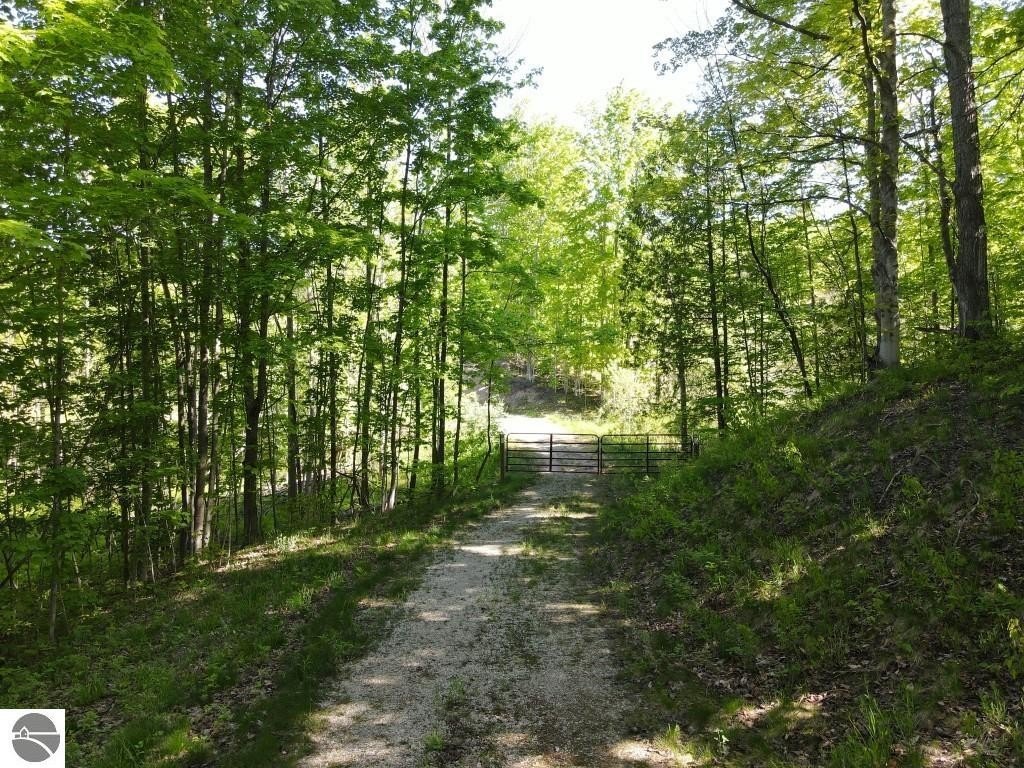 Picture 3
