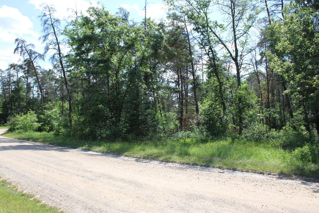 Picture 5