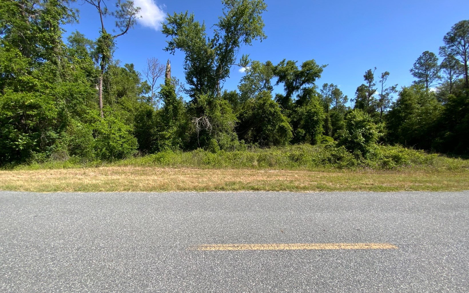 5.43 Acres in Suwannee County