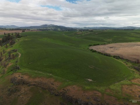 Productive Farmland with Palouse Views