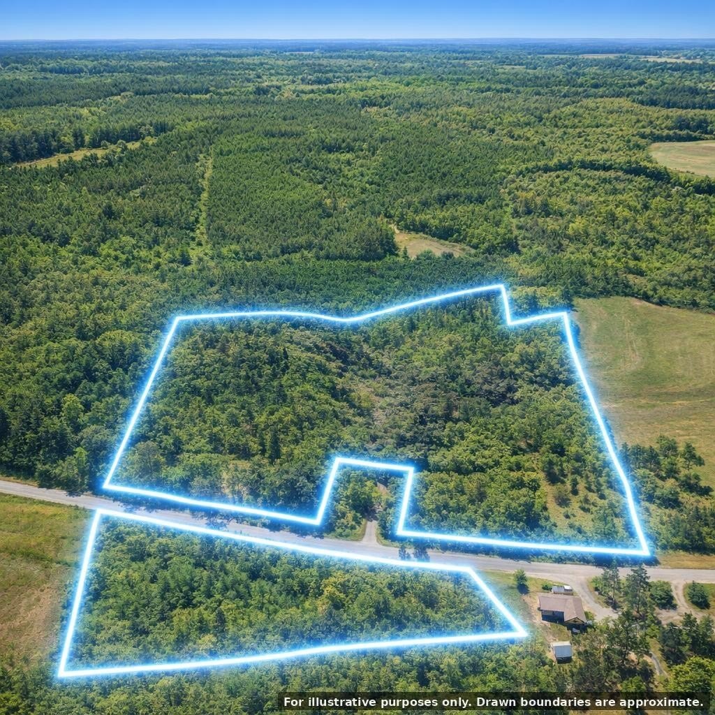 Ariton, AL Wooded Acreage