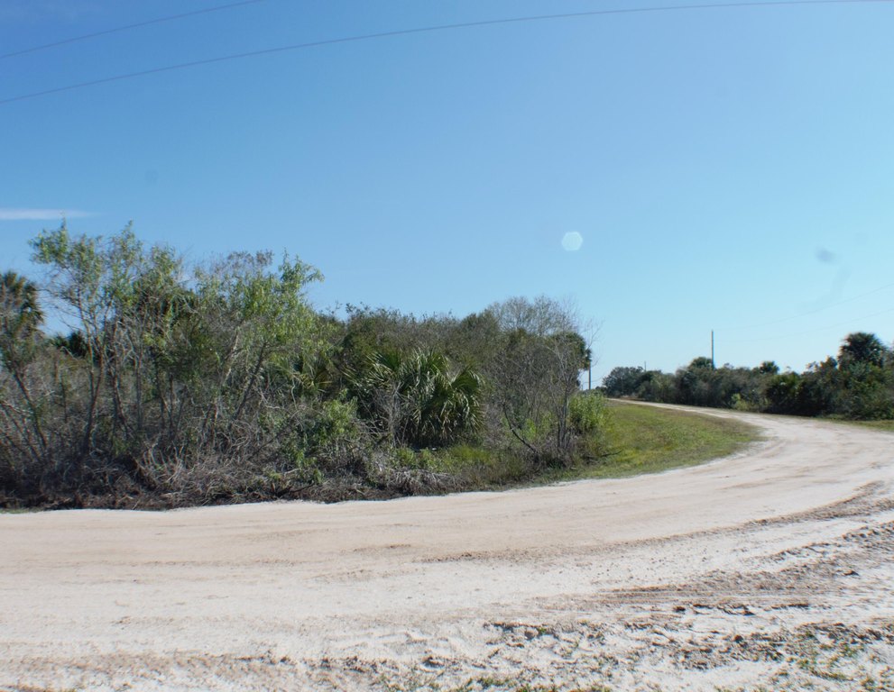 Picture 3