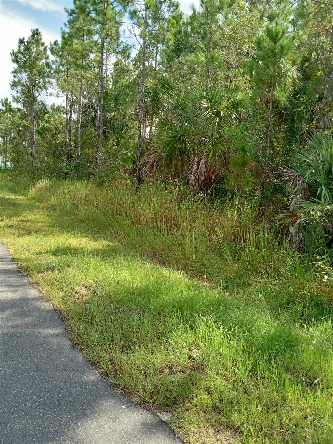 Residential Lot in Palm Bay