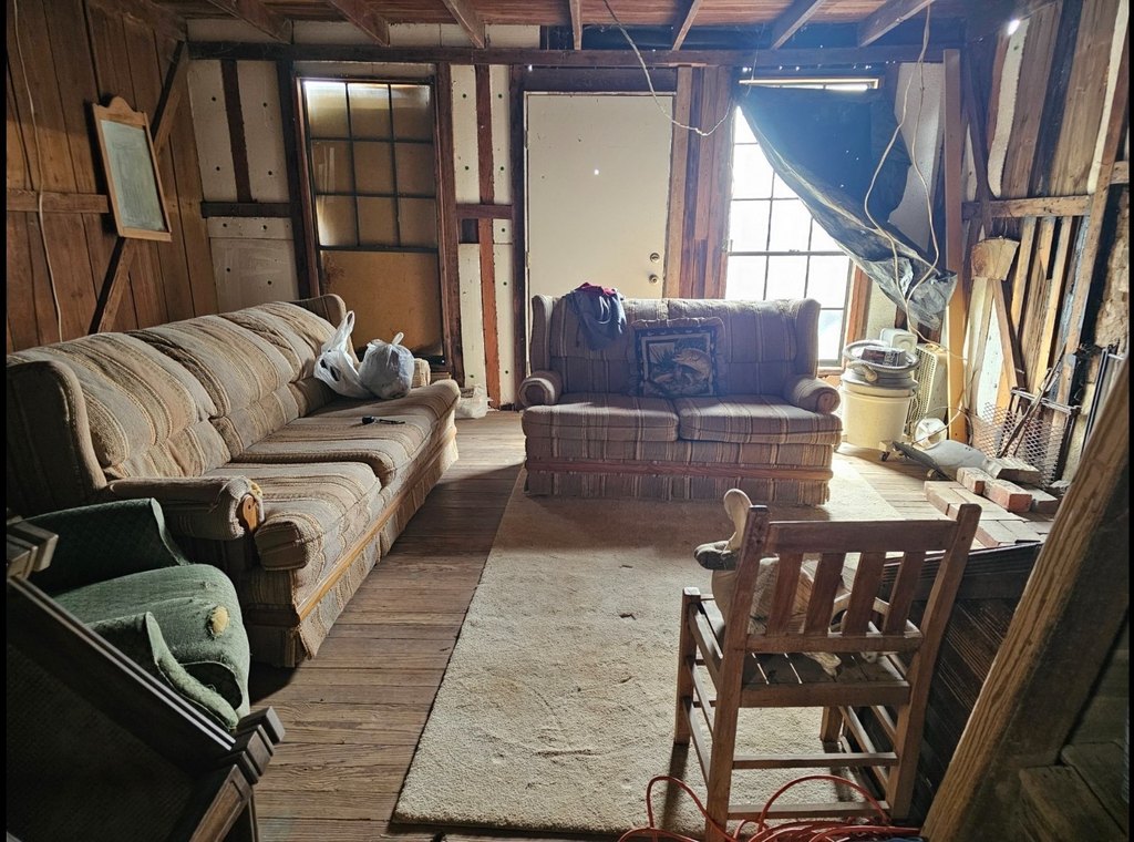 Picture 8