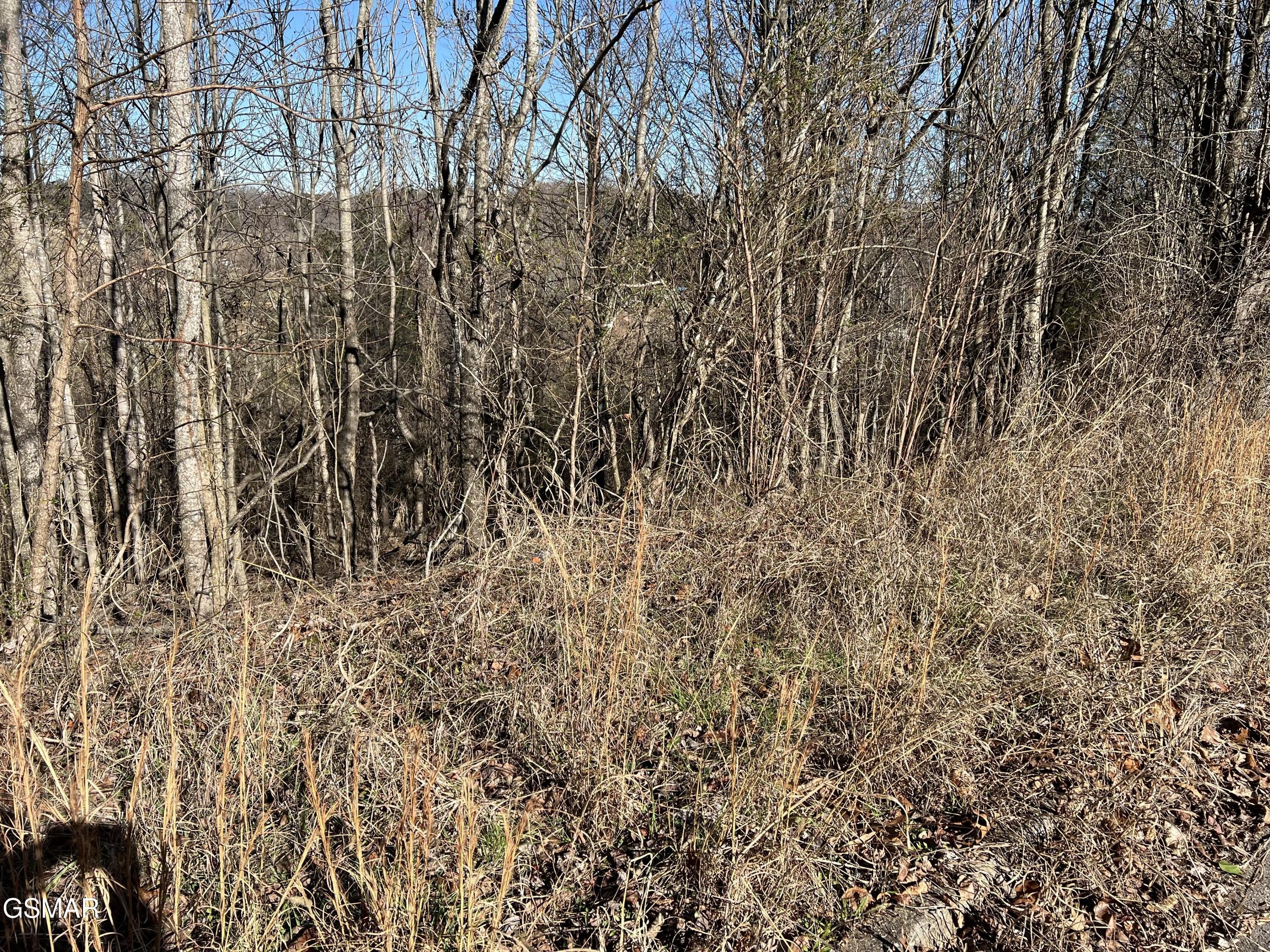 Residential Lot Near Interstate 40