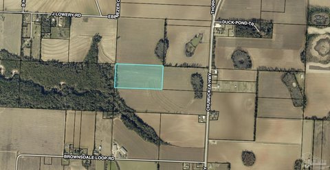 20 Acres in Jay, FL