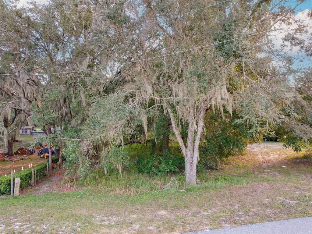Picture 19