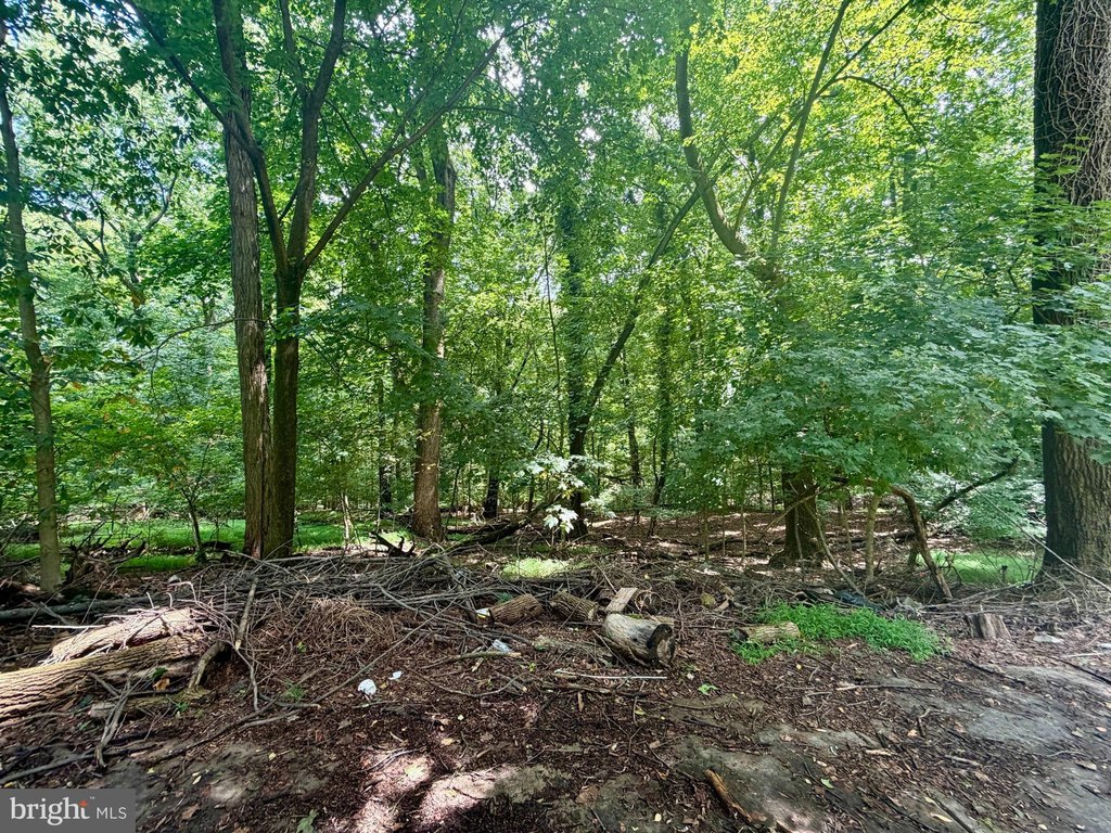 Picture 18