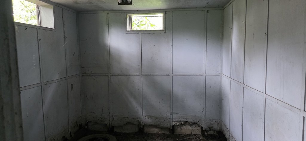 Picture 4