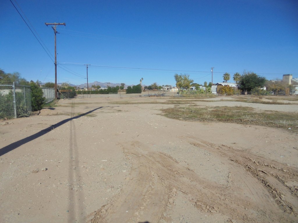 Picture 5