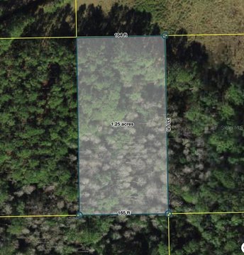 LAND - POLK CITY, FL