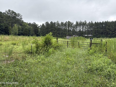 LAND - Calhoun, TN