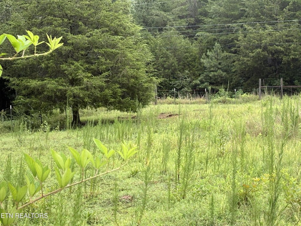 Picture 7